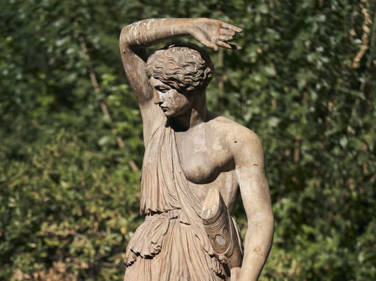 The True Story Behind the Amazons • Spotter Up